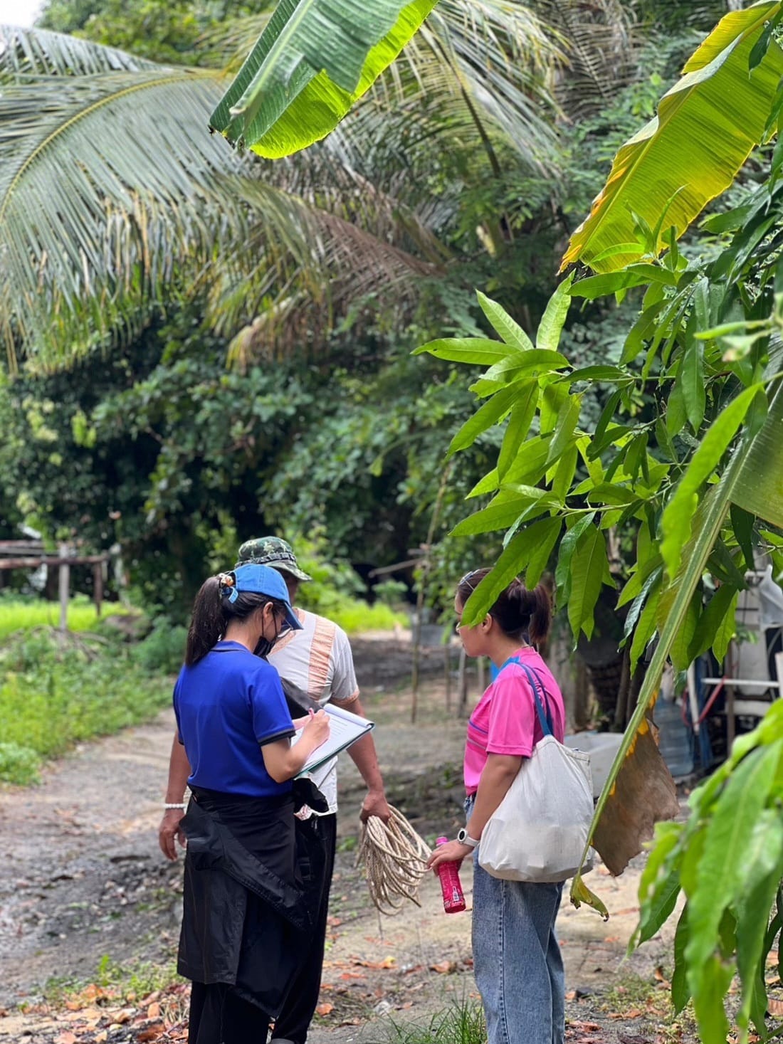 กองสาธารณสุข อบต.เกาะสาหร่าย จ.สตูล ลงพื้นที่สำรวจจำนวนสุนัขและแมว บ้านเกาะหลีเป๊ะ